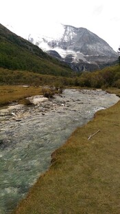 山间溪流伴远处雪山美景