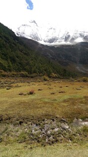 山间开阔草地美景