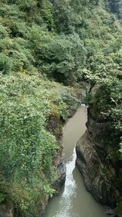 山间溪流穿林而过