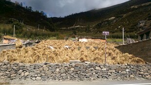 户外堆积的大量土石