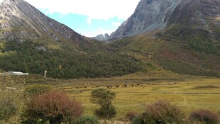 山间草原壮丽自然景观