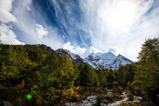 壮丽山林间的巍峨雪山