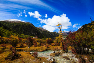 秋日山间溪流美景