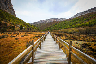 山间木栈道 赏自然美景