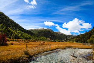 山间溪流旁的秋日美景