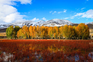 秋日湖畔彩林与雪山美景