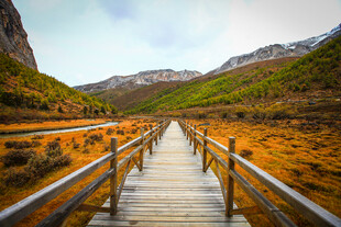 山间木桥 邂逅自然美景