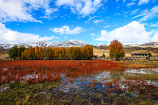 秋日多彩田野风光