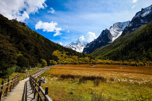 山间木栈道旁的壮丽美景