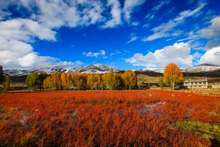 秋日绚烂原野风光