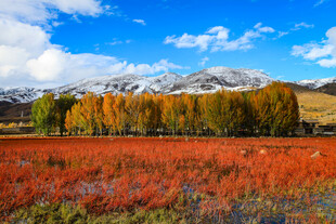 秋日多彩原野与远山美景