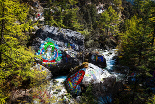 山间多彩岩石与葱郁林木