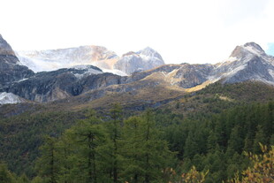 壮丽山林间的巍峨山脉