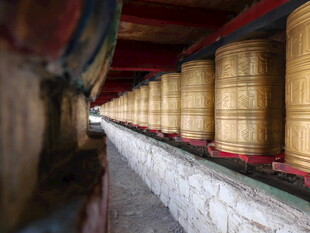 传统酒坊中的排列整齐酒桶