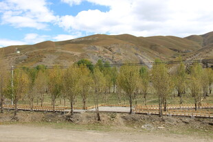 山间秋色中的树木与围栏