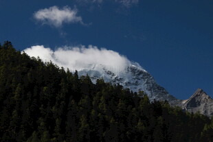 巍峨山峦与云端森林