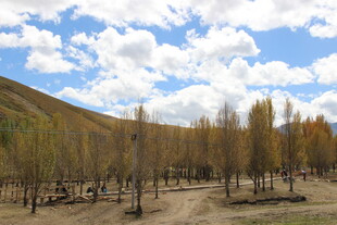 秋日山林间的开阔景致