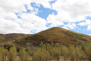 山间美景 蓝天白云映绿树