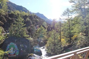 山间栈道旁的秀丽自然景色