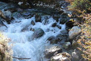 山间溪流潺潺流淌