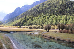 山间清澈溪流与葱郁山林