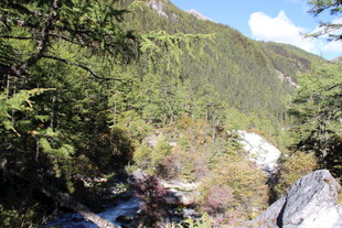 山间绿意盎然的自然景致