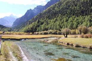 山间清澈溪流与葱郁山林