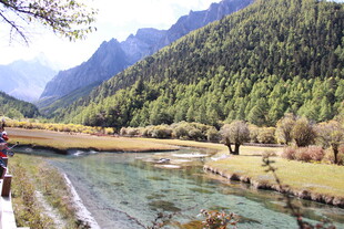 山间清澈溪流与葱郁山林