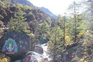 山间多彩岩石与葱郁林木