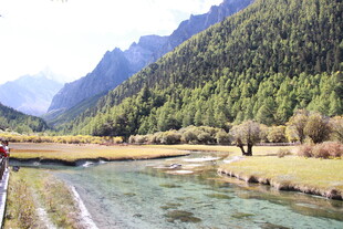 山间溪流旁的秀丽风光