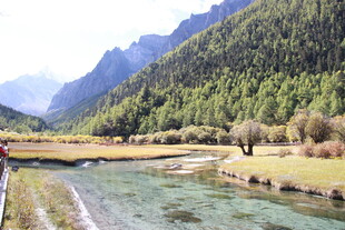 山间溪流旁的秀丽风光
