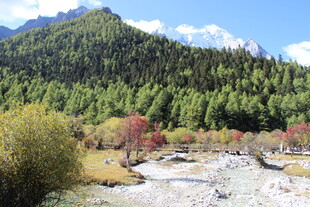 山间多彩秋景图
