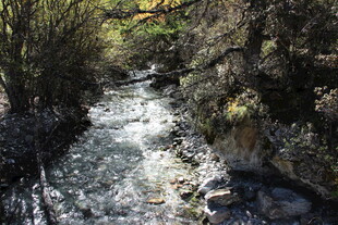 山间溪流潺潺流淌