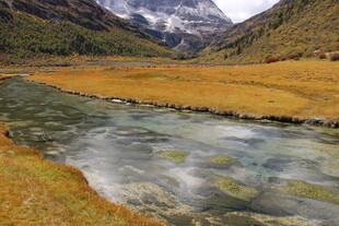 山间清澈溪流与金黄草地