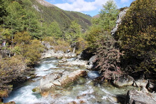 山间溪流 自然清新之景
