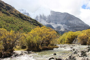 山间溪流旁的秋日美景