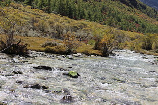 山间湍流 多彩河岸景致
