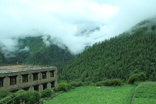 山间楼舍旁的绿野风光