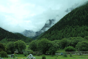 山间绿野 云雾缭绕之景