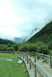 山间木栈道旁的绿野风光