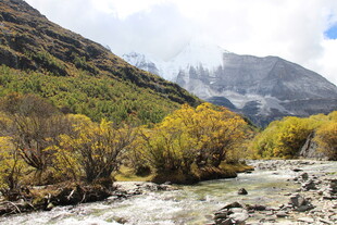 山间溪流秋色美景
