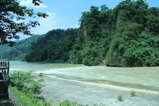 山间河流旁的葱郁景致