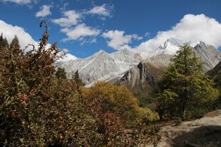 山间美景 雪峰与植被相映