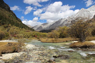 山间溪流与壮丽雪山美景