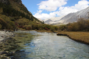 山间清澈溪流风景图