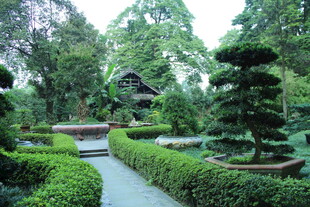 中式园林景观 绿意盎然