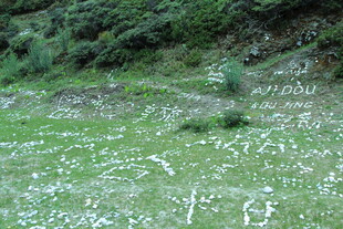 山坡上的白色碎石景观