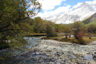 山间溪流旁的多彩景致