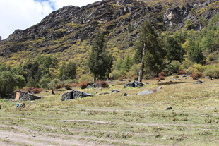 山间草地中的零星建筑