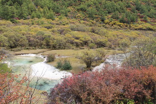 山间多彩溪流景观